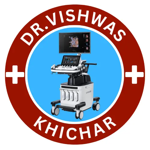 D V K Logo